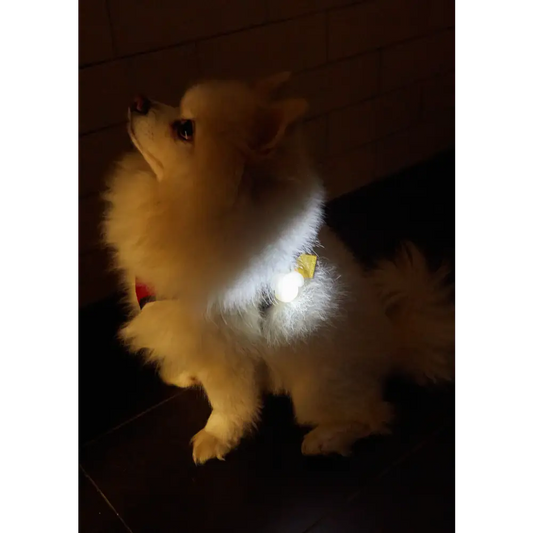 Light Up Name Tag - PABOOM