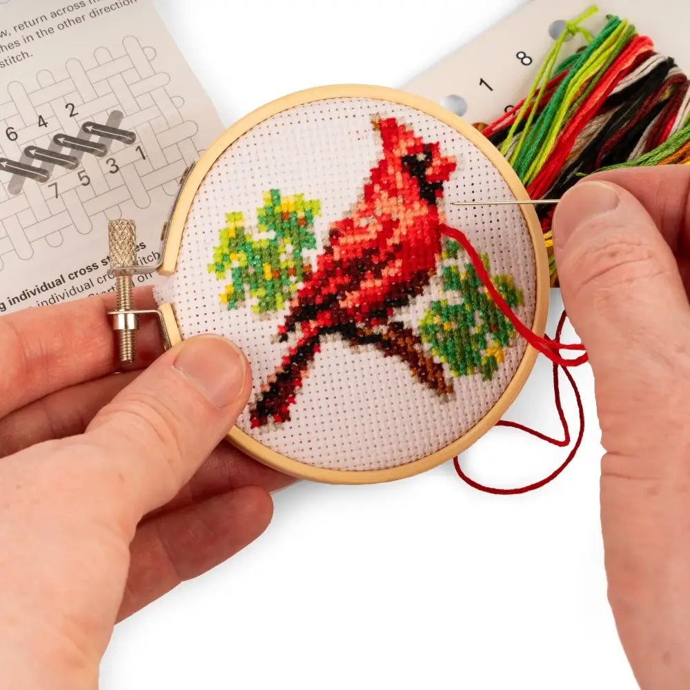 Mini Embroidery Kit Cardinal - PABOOM