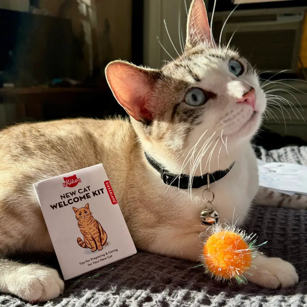 New Cat Welcome Kit - PABOOM