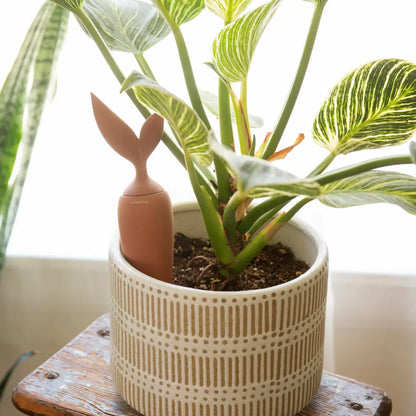 Terracotta Watering Stake - PABOOM