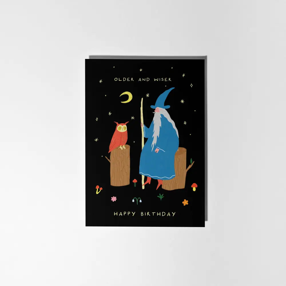 Little Black Cat Illustrated Goods - Older and Wiser Birthday Card | Wizard | Men’s
