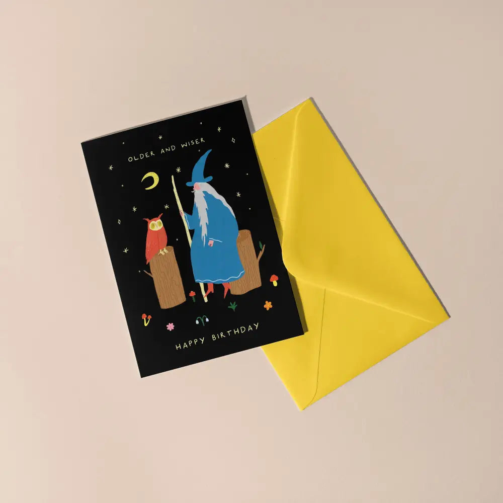 Little Black Cat Illustrated Goods - Older and Wiser Birthday Card | Wizard | Men’s