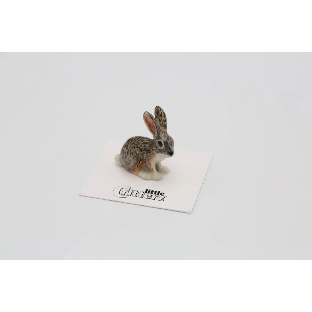 Little Critterz - Bounder Jackrabbit Porcelain Miniature