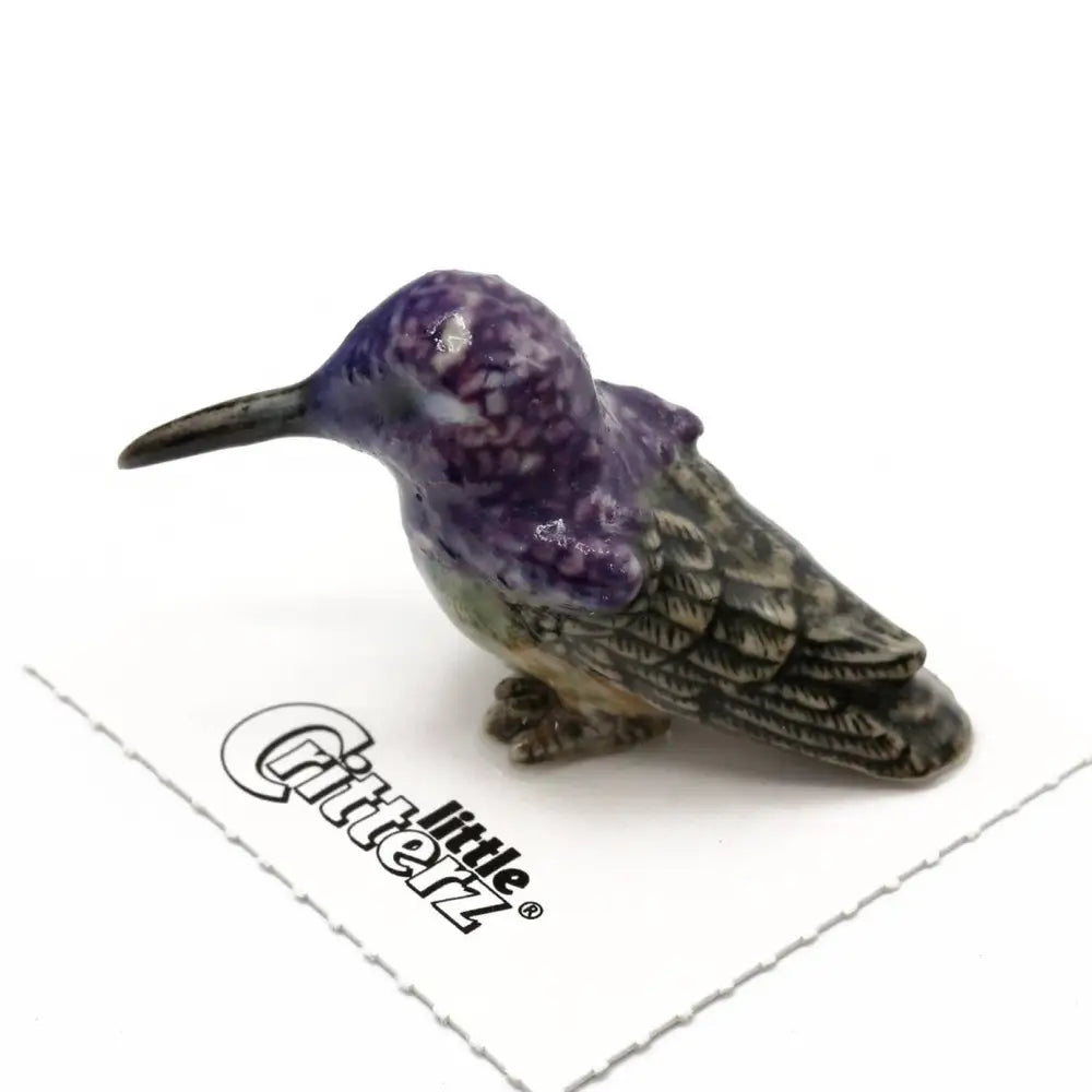 Little Critterz - Cheer Costa’s Hummingbird Porcelain Miniature
