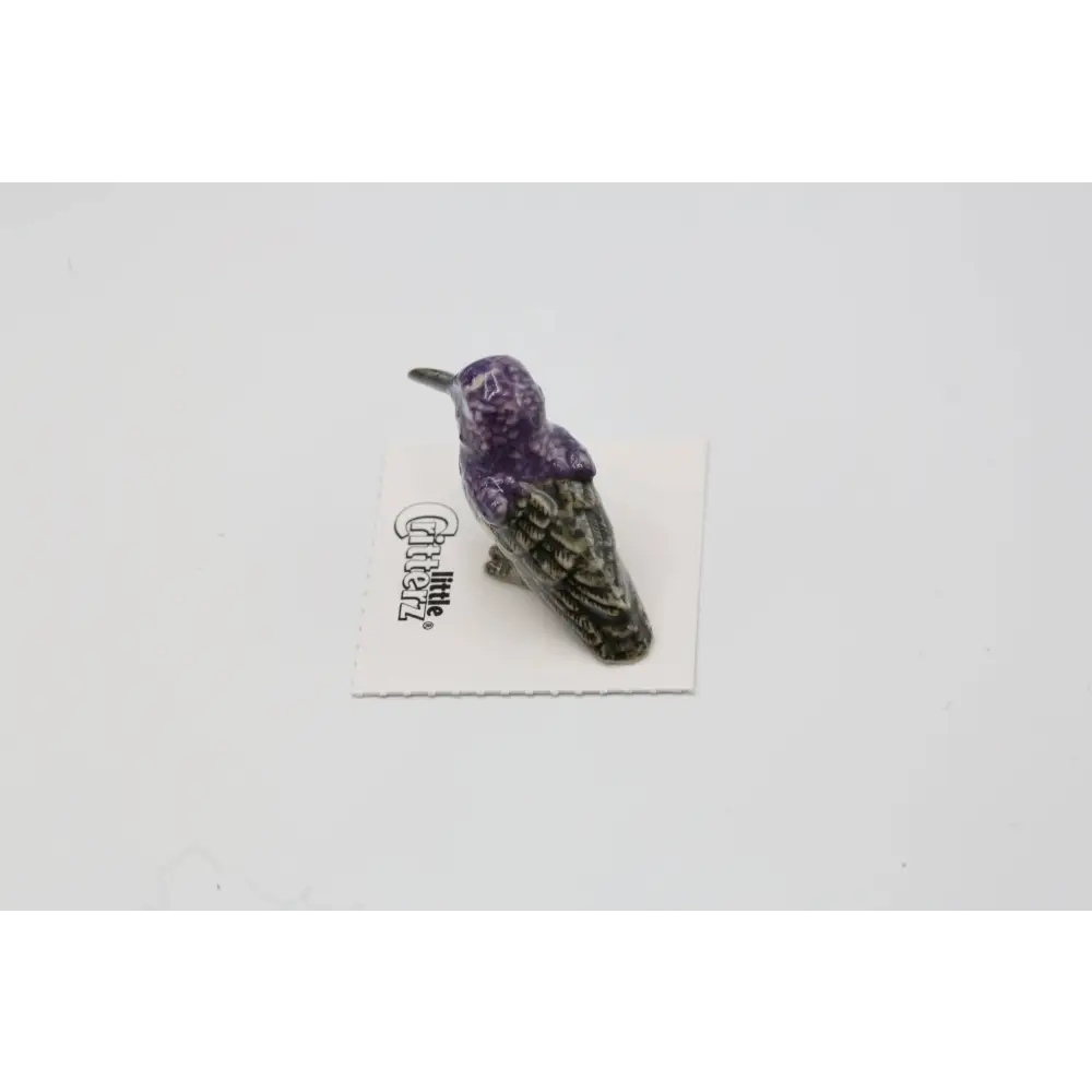 Little Critterz - Cheer Costa’s Hummingbird Porcelain Miniature