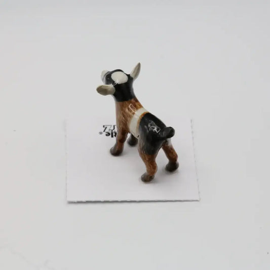Chiumbo Goat Kid Miniature - PABOOM