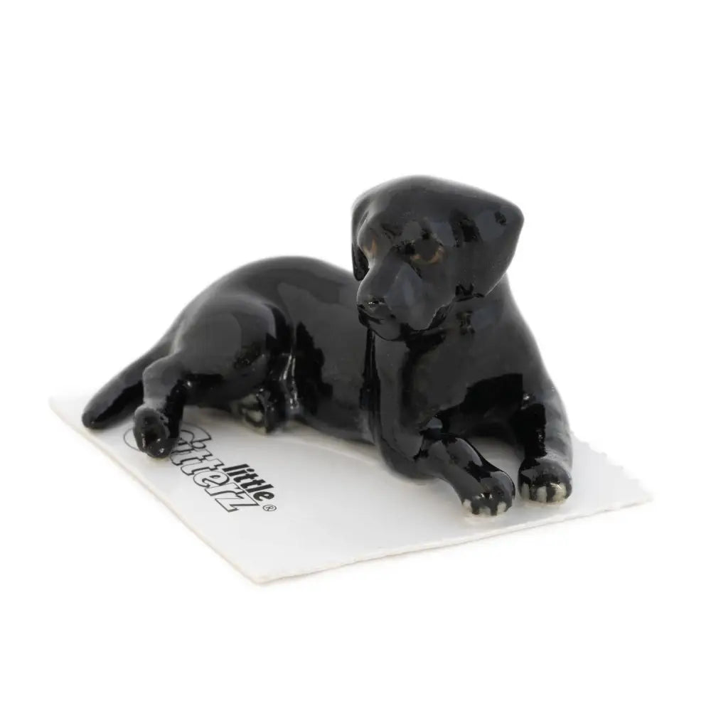 Little Critterz - Jack Black Labrador Adult Porcelain Miniature
