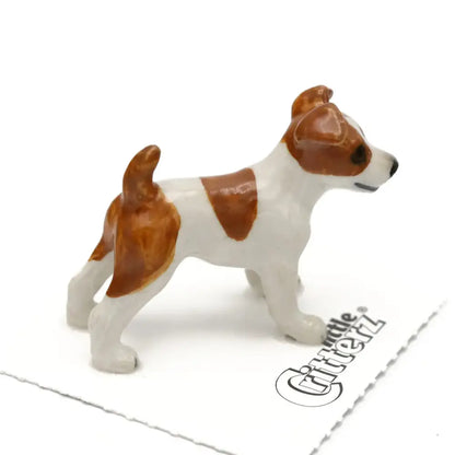 Jack Russel Miniature - PABOOM