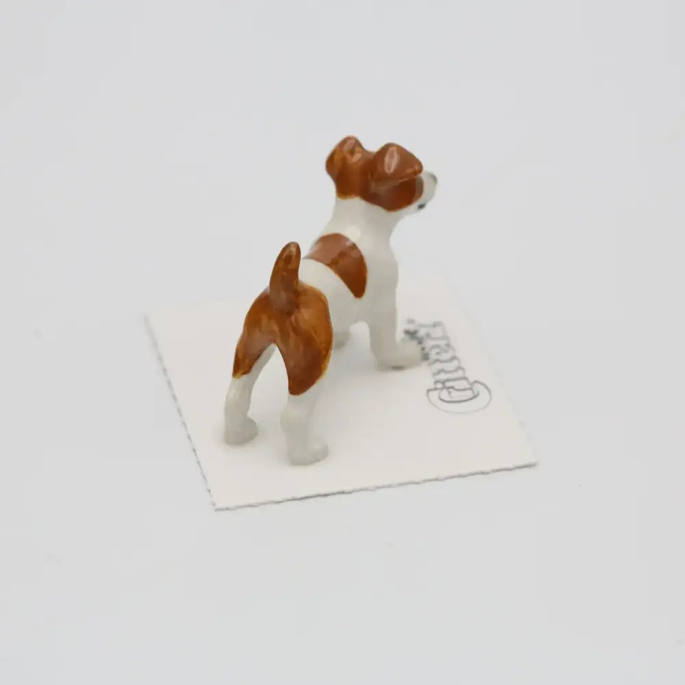 Jack Russel Miniature - PABOOM