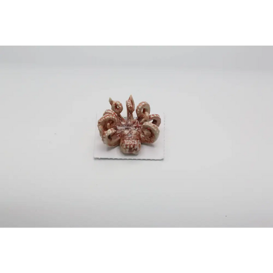 Jet Octopus Porcelain Miniature - PABOOM