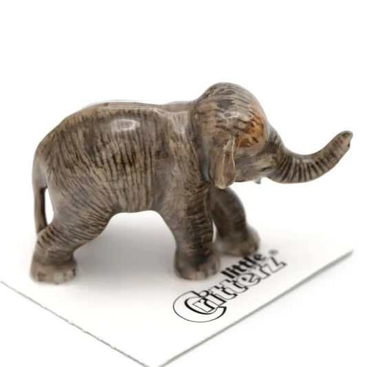 Little Critterz - Max Asian Elephant Calf Porcelain Miniature