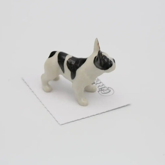 Maximus French Bulldog Miniature - PABOOM
