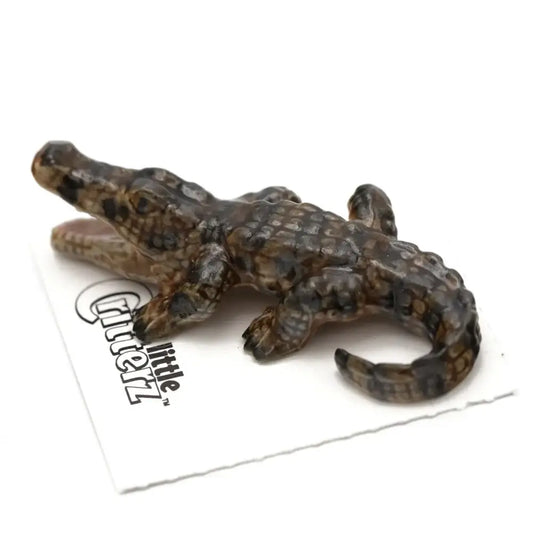 Mississippi American Alligator Miniature - PABOOM