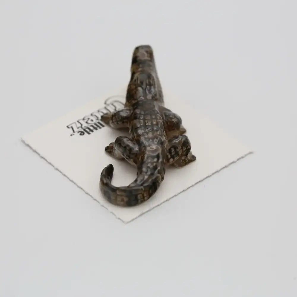 Mississippi American Alligator Miniature - PABOOM