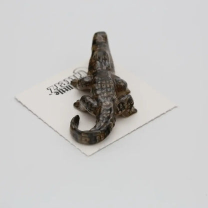 Mississippi American Alligator Miniature - PABOOM