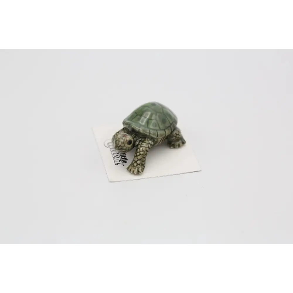 Ras Garden Turtle Porcelain Miniature - PABOOM