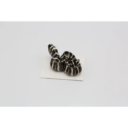 Retreat Zebra Moray Eel Porcelain Miniature - PABOOM