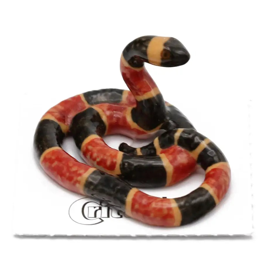 Rhyme Coral Snake Porcelain Miniature - PABOOM