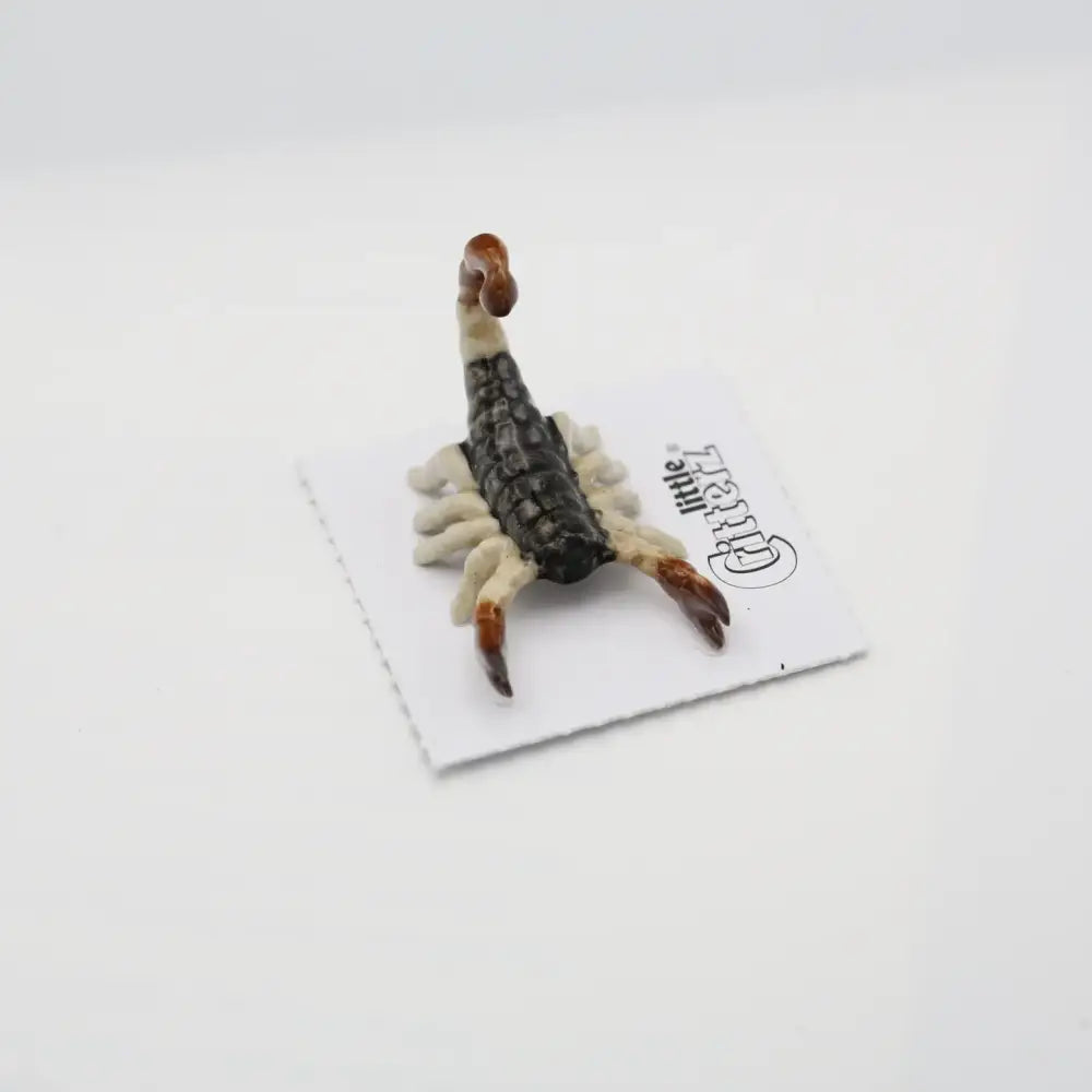 Sonora Scorpion Porcelain Miniature - PABOOM