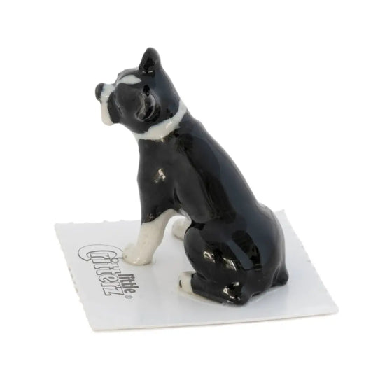 Little Critterz - Stubby Boston Terrier Porcelain Miniature