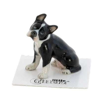 Little Critterz - Stubby Boston Terrier Porcelain Miniature