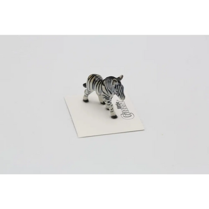 Zamia Zebra Porcelain Miniature - PABOOM