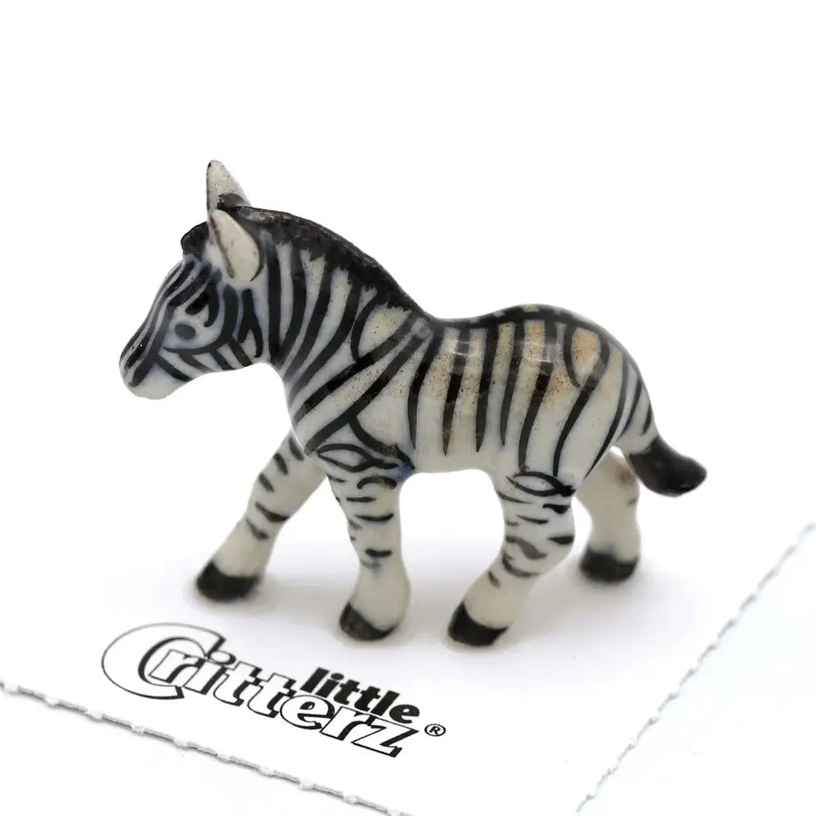 Zamia Zebra Porcelain Miniature - PABOOM