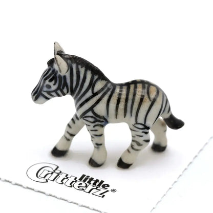 Zamia Zebra Porcelain Miniature - PABOOM