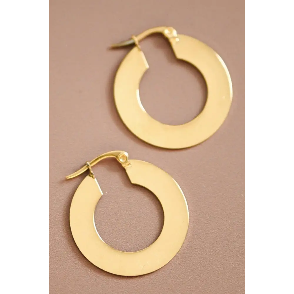 Mia Accessories - 18K Gold Plated Waterproof Stainless Steel Drop Earrings - 6925 S0OX3T6925