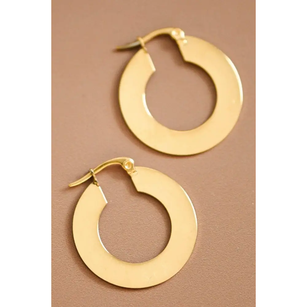 Mia Accessories - 18K Gold Plated Waterproof Stainless Steel Drop Earrings - 6925 S0OX3T6925
