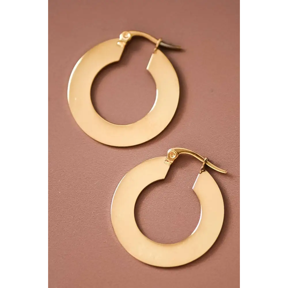 Mia Accessories - 18K Gold Plated Waterproof Stainless Steel Drop Earrings - 6925 S0OX3T6925