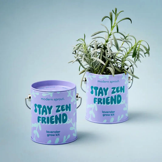 Modern Sprout - Complimentary Color Grow Stay Zen Friend - Lavender