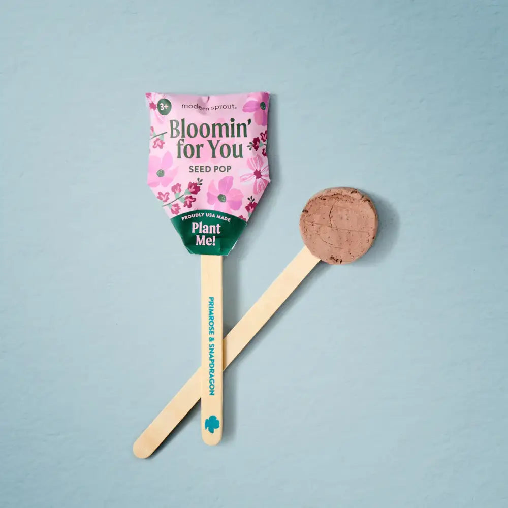 Modern Sprout - Seed Pops