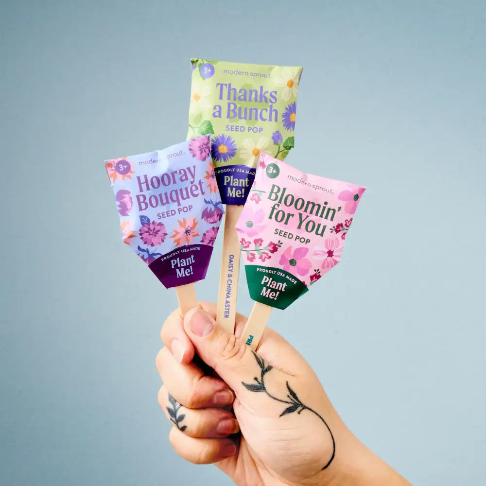 Modern Sprout - Seed Pops