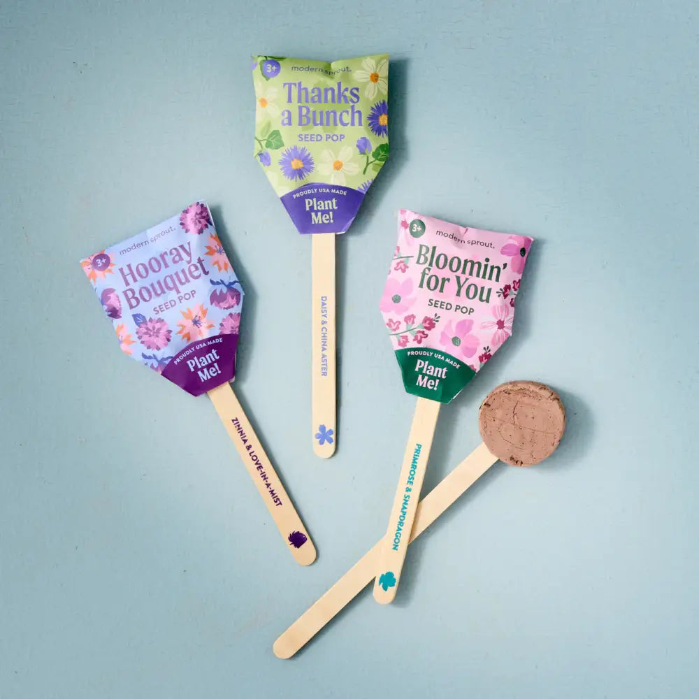 Modern Sprout - Seed Pops