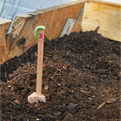 Modern Sprout - Seed Pops