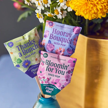 Modern Sprout - Seed Pops