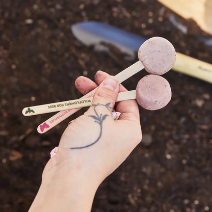 Modern Sprout - Seed Pops