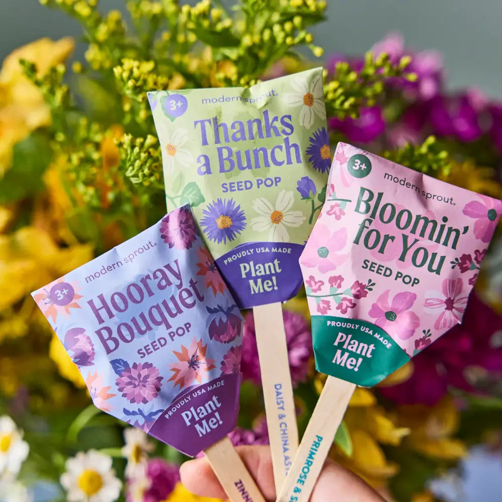 Modern Sprout - Seed Pops