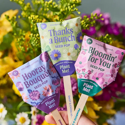 Modern Sprout - Seed Pops