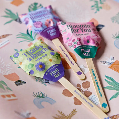 Modern Sprout - Seed Pops