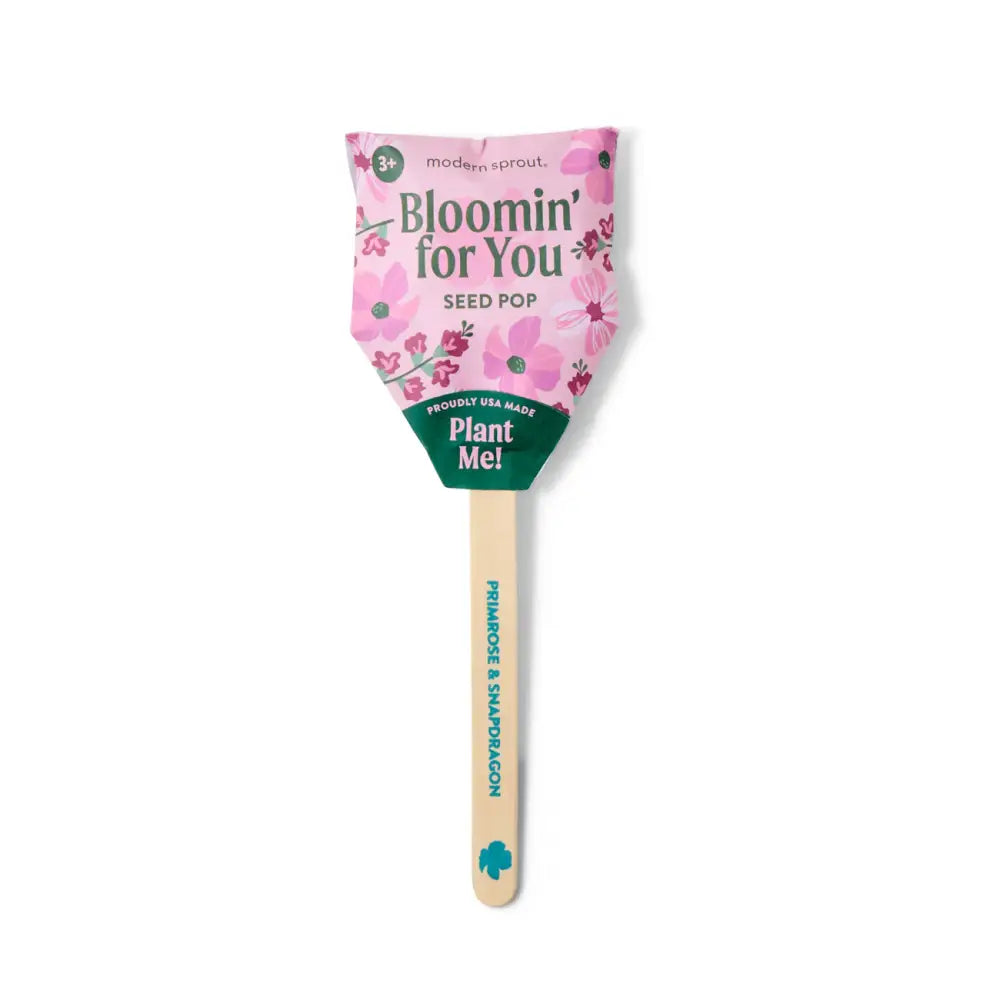 Modern Sprout - Seed Pops Bloomin’