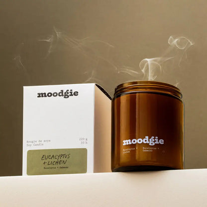 moodgie - Eucalyptus + Lichen / 220 g - moodgie candle