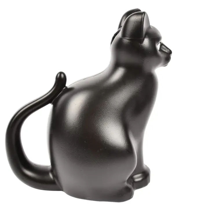 NACH - Black Cat Watering