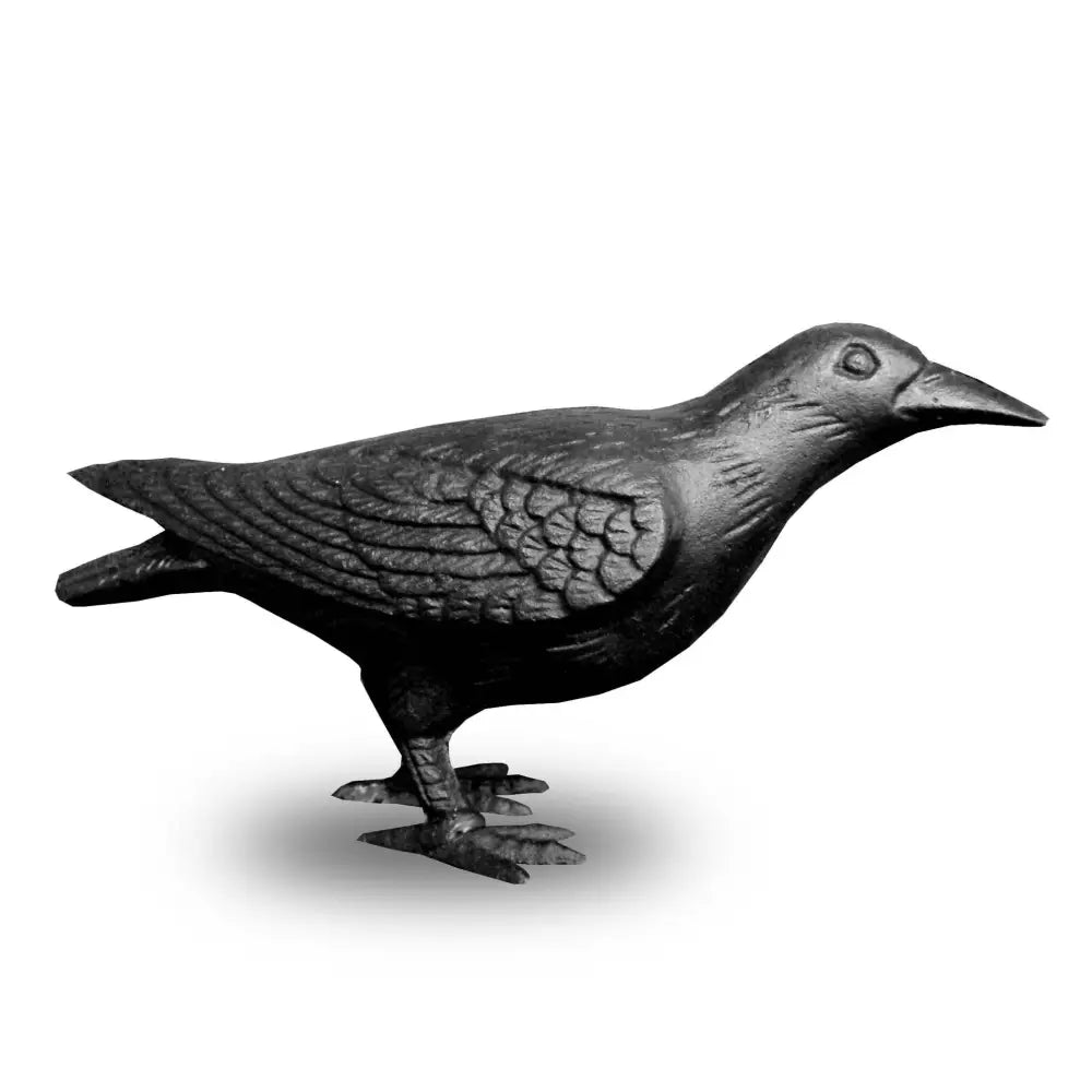 NACH - Cast Iron Crow