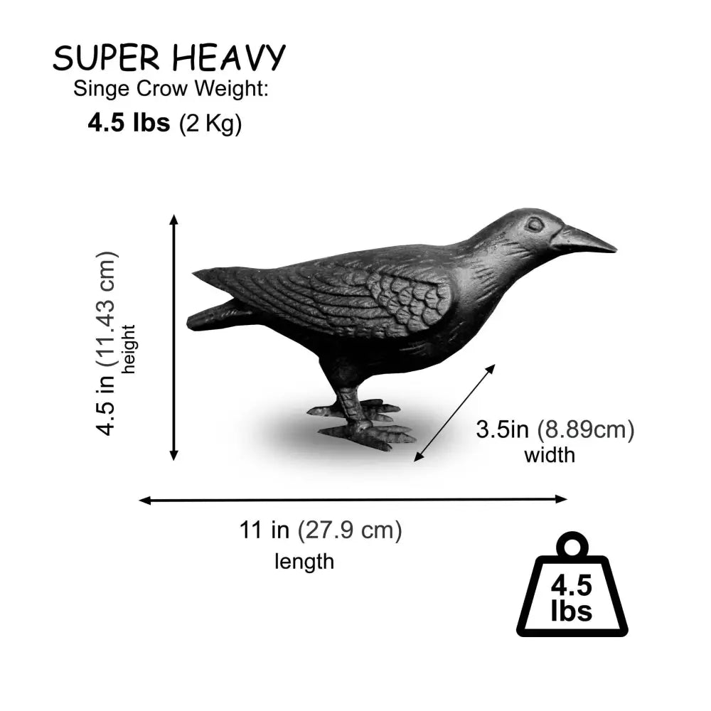 NACH - Cast Iron Crow