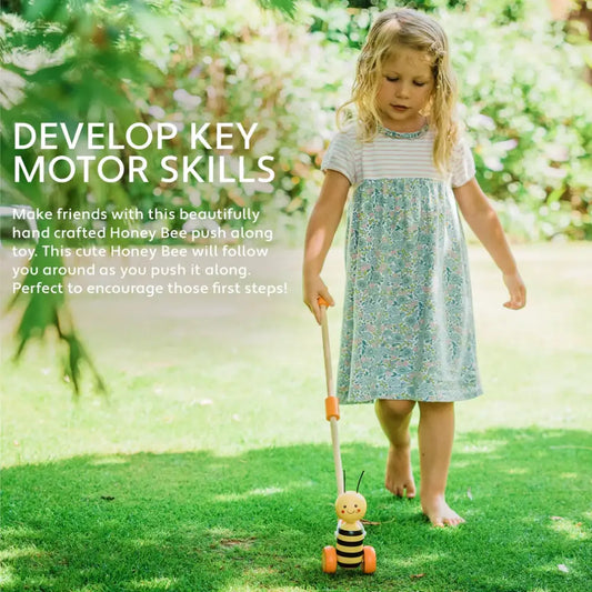 Honey Bee Push Along - PABOOM