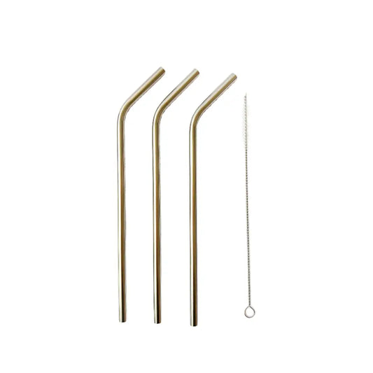 Stainless Steel Straws + Brush - PABOOM