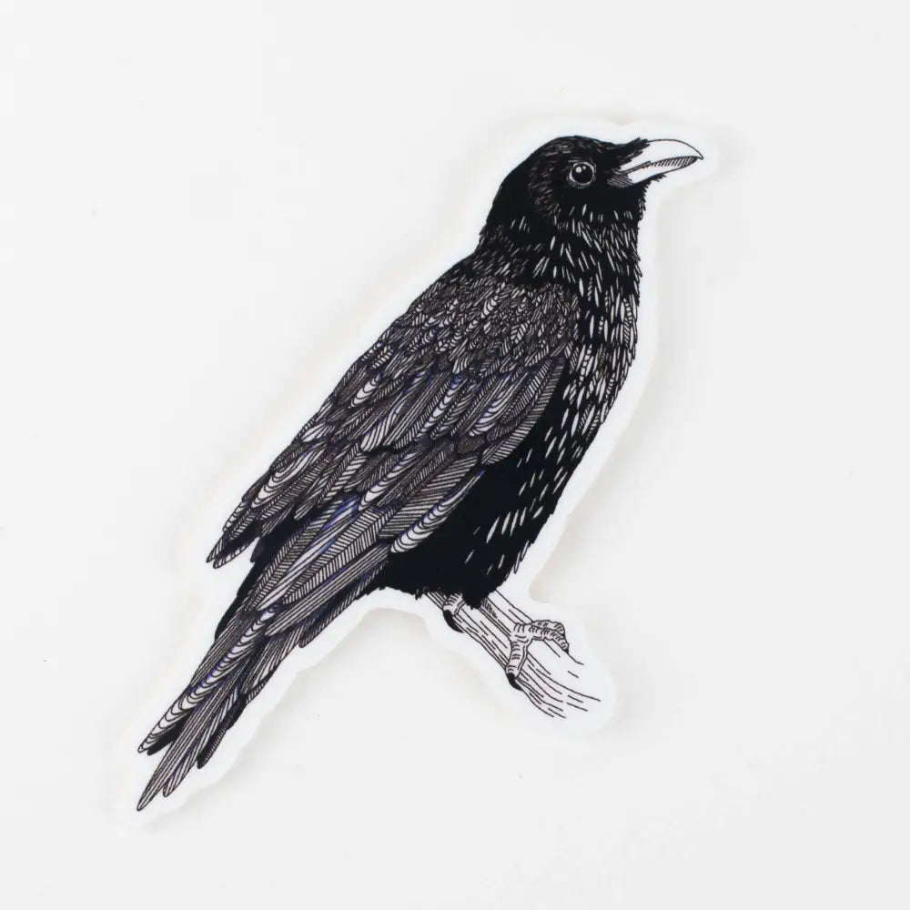 Porchlight Press Letterpress - Sticker: Raven