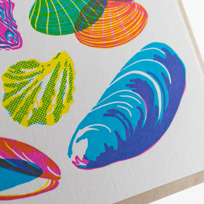 Porchlight Press Letterpress - Vibrant Life Series - Molluscs Card Single